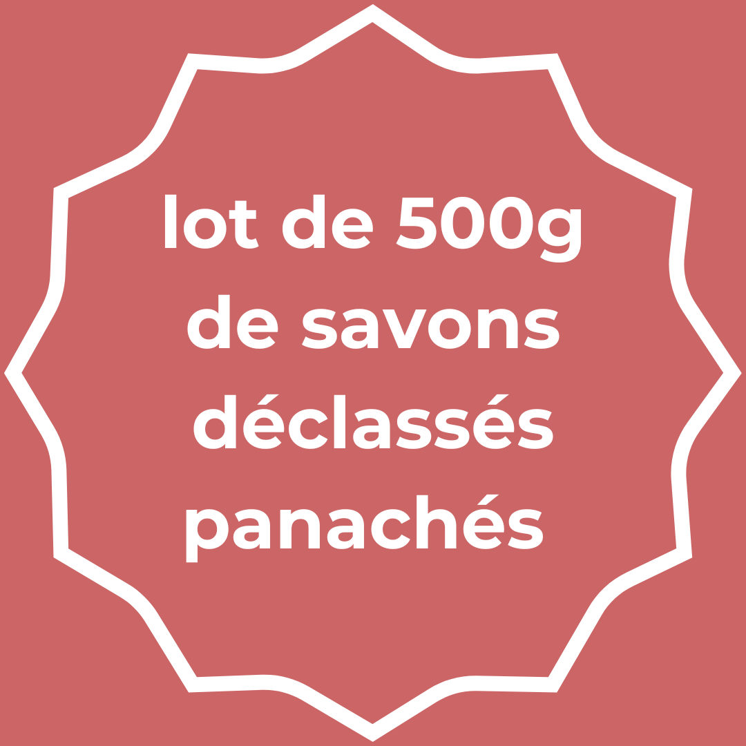 lot de 500g de savons